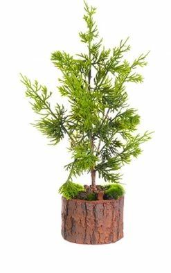 Allstate 16" Green Artificial Cedar Topiary Christmas Table Top Decoration