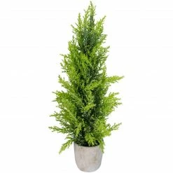 Northlight 17" Upswept Frosted Cedar Artificial Christmas Tree - Unlit